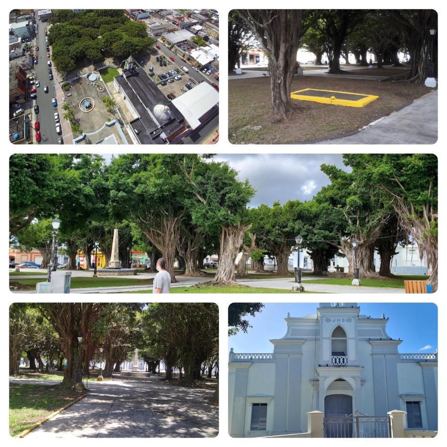 Lacasitadelmalecon Naguabo Exterior foto